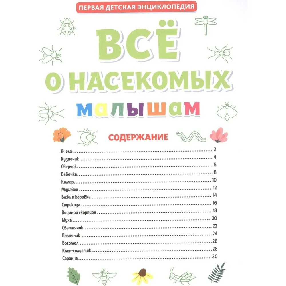 All About Insects for Kids