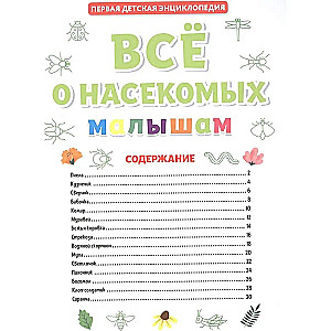 All About Insects for Kids