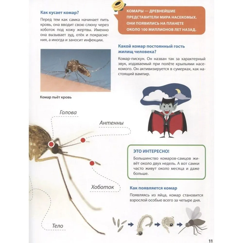 All About Insects for Kids