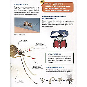 All About Insects for Kids
