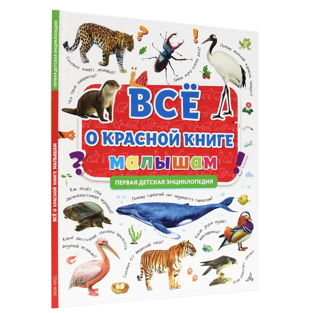 All about the Red Book for Kids