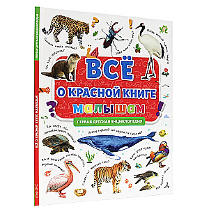 All about the Red Book for Kids