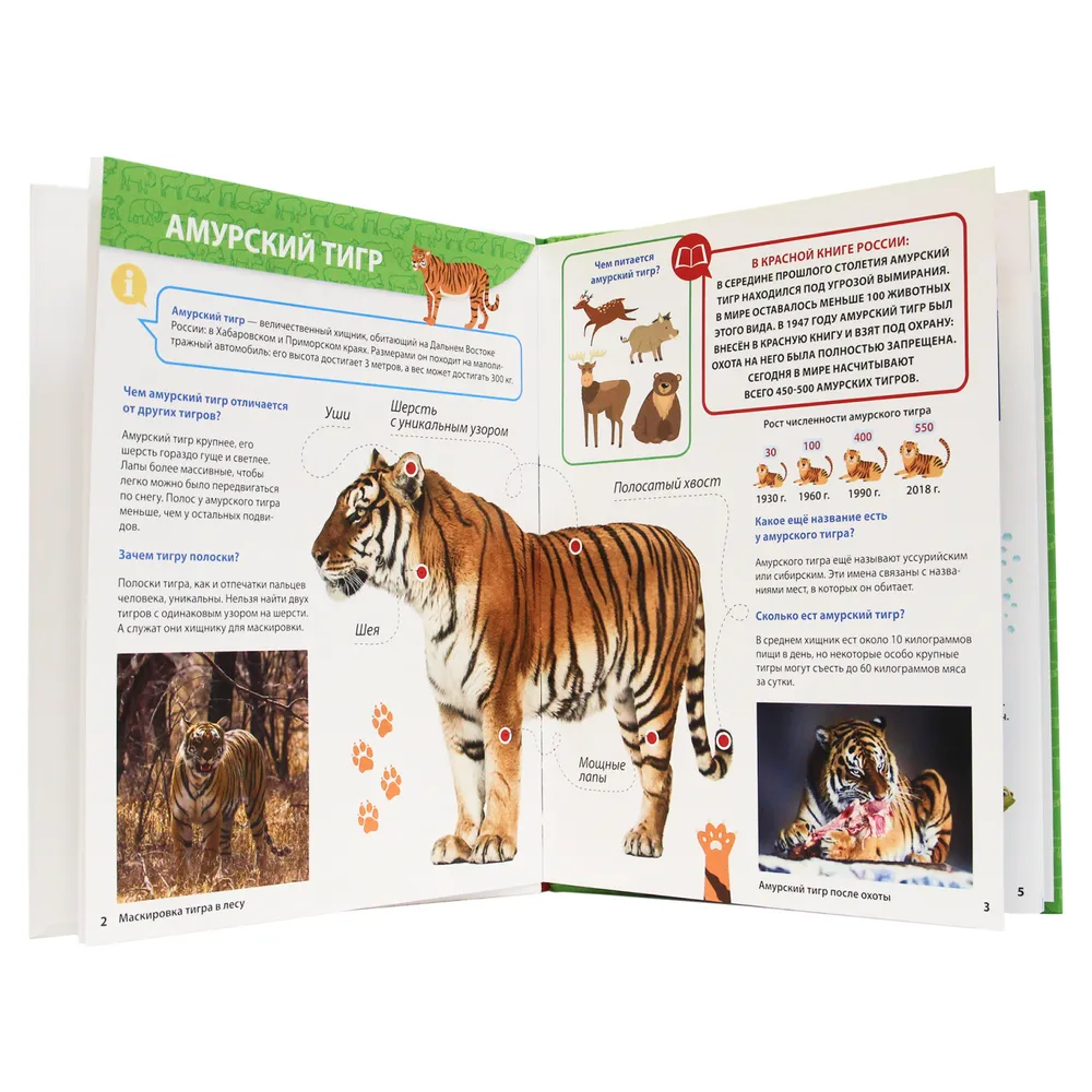 All about the Red Book for Kids