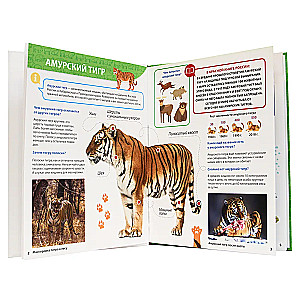 All about the Red Book for Kids