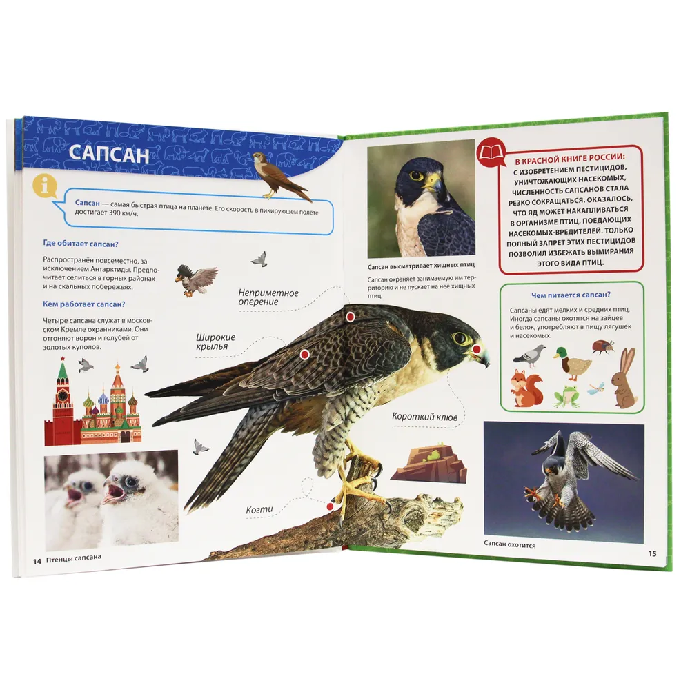 All about the Red Book for Kids
