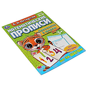 Mathematical Copybooks. Ornaments and Forms