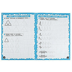 Mathematical Copybooks. Ornaments and Forms