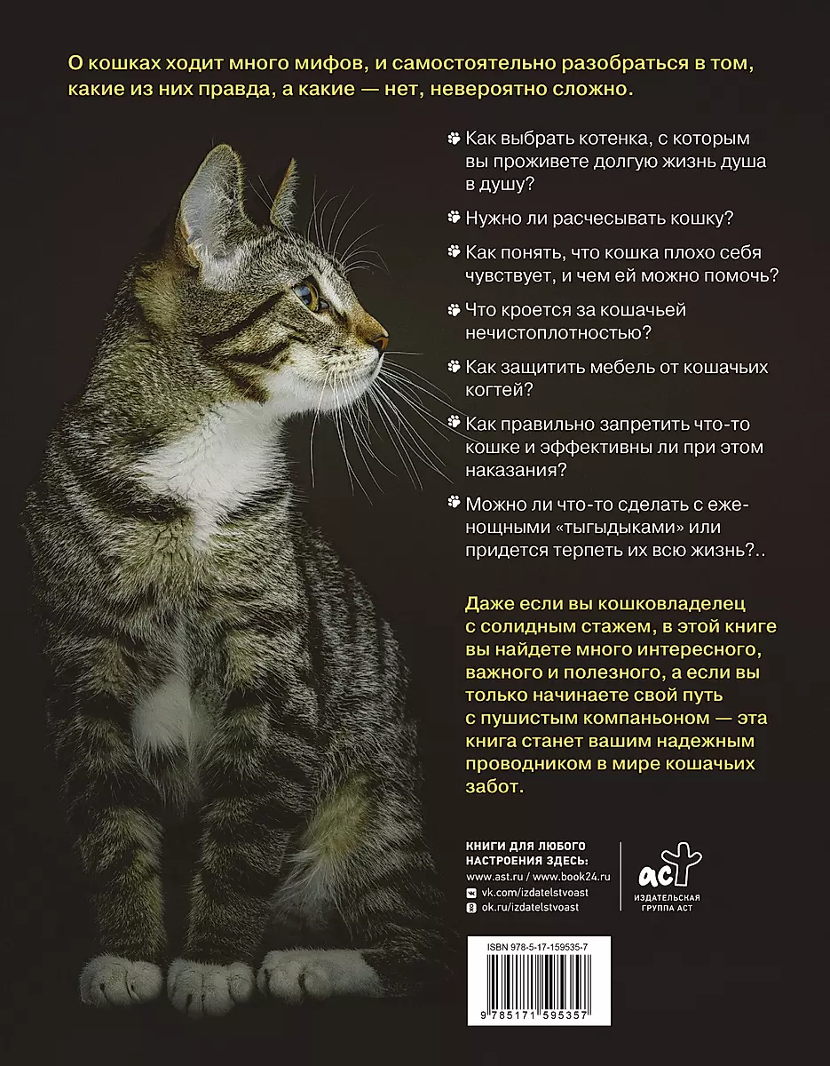 The Cat Owner's Main Book