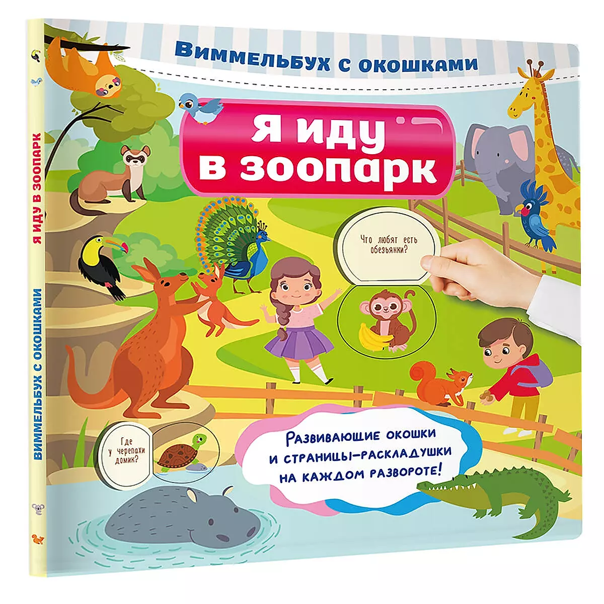 I am going to the zoo