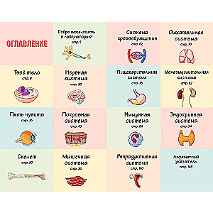 The Human Body. Home Laboratory for Kids