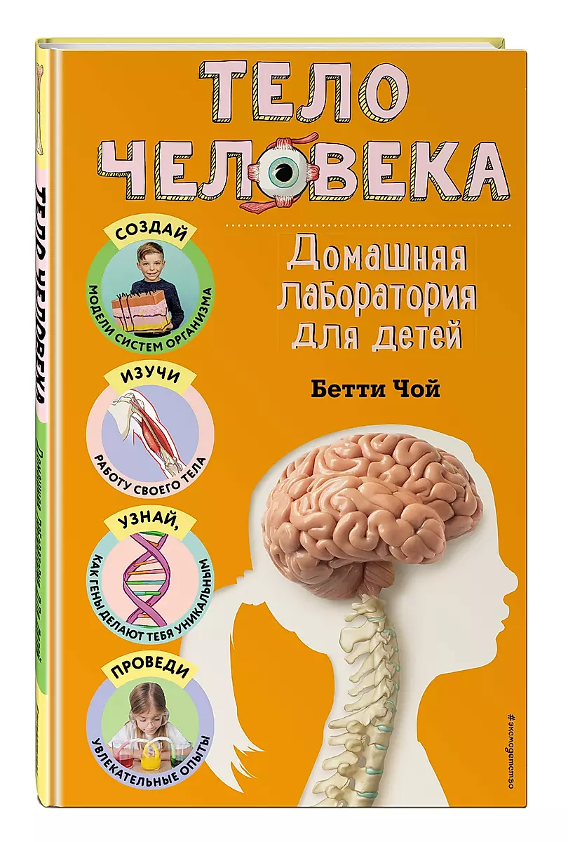 The Human Body. Home Laboratory for Kids