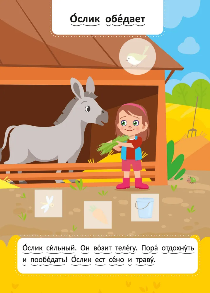 On the Farm