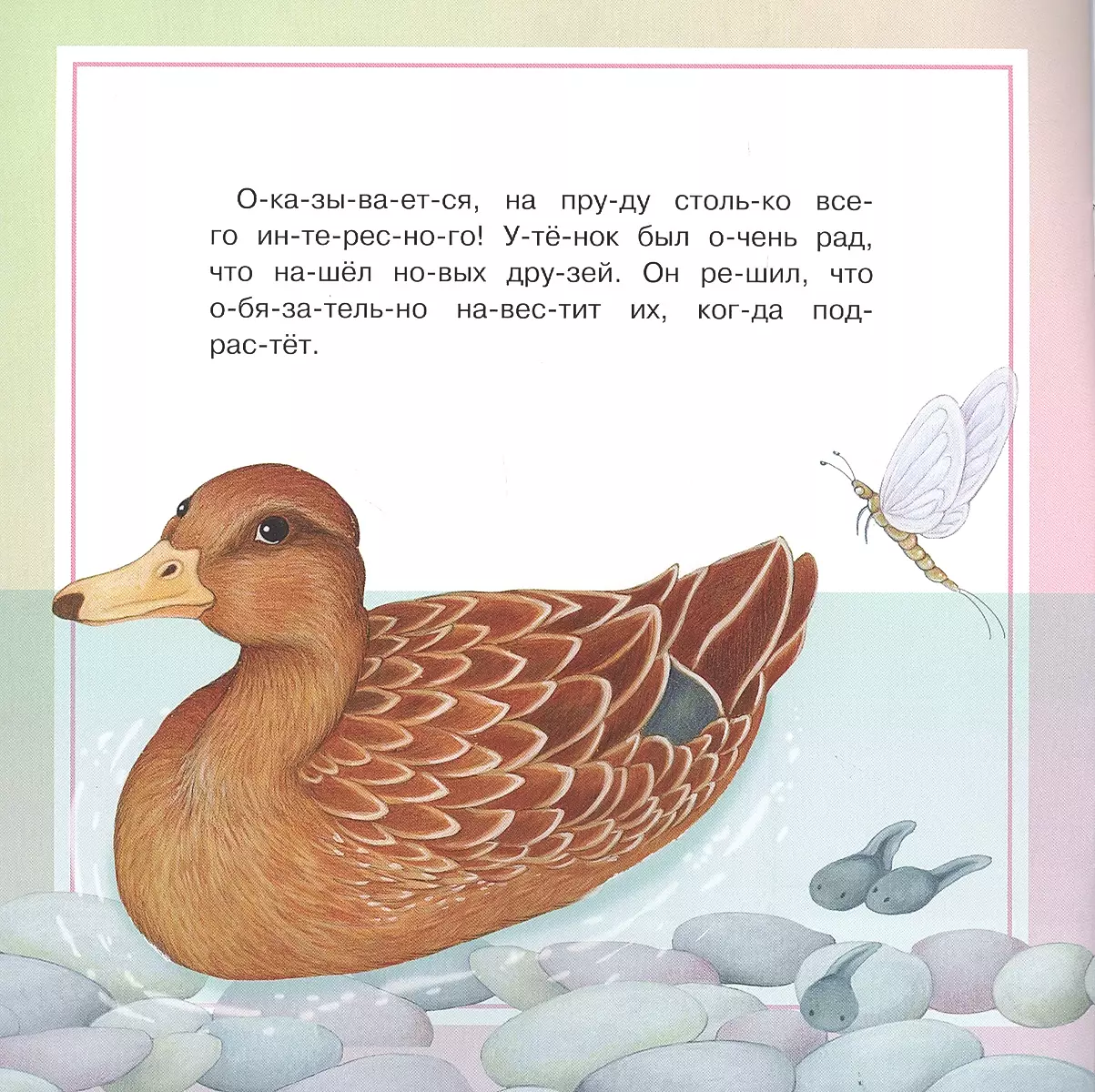 The Inquisitive Duckling