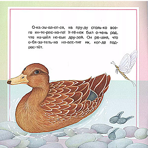 The Inquisitive Duckling