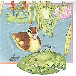 The Inquisitive Duckling