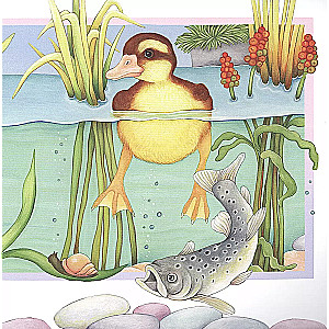 The Inquisitive Duckling