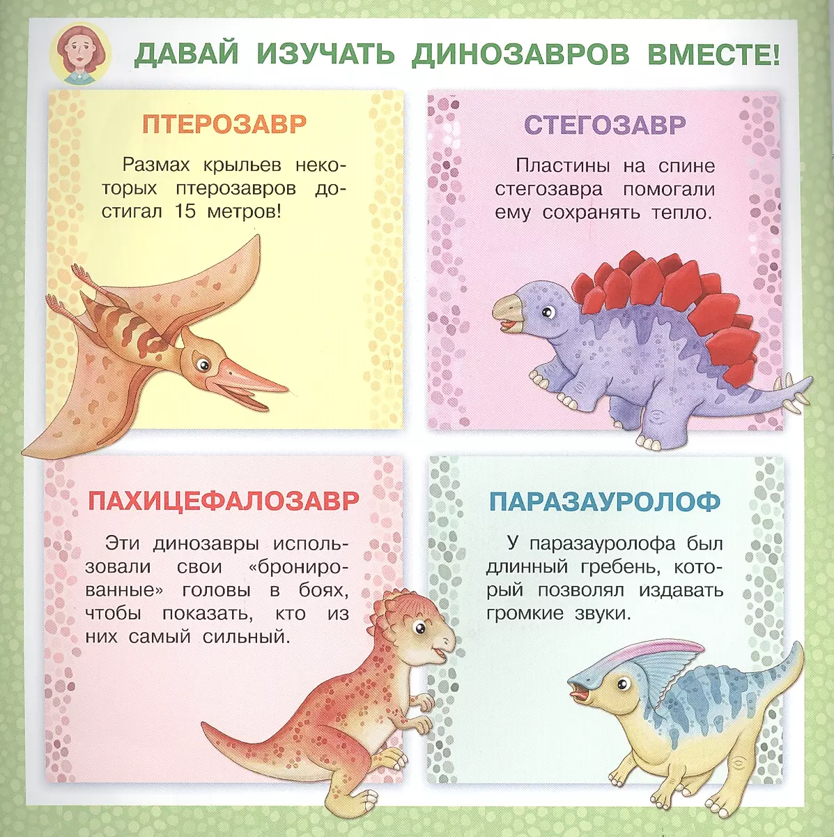 Stegosaurus. Why Are We Different