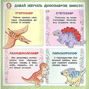 Stegosaurus. Why Are We Different