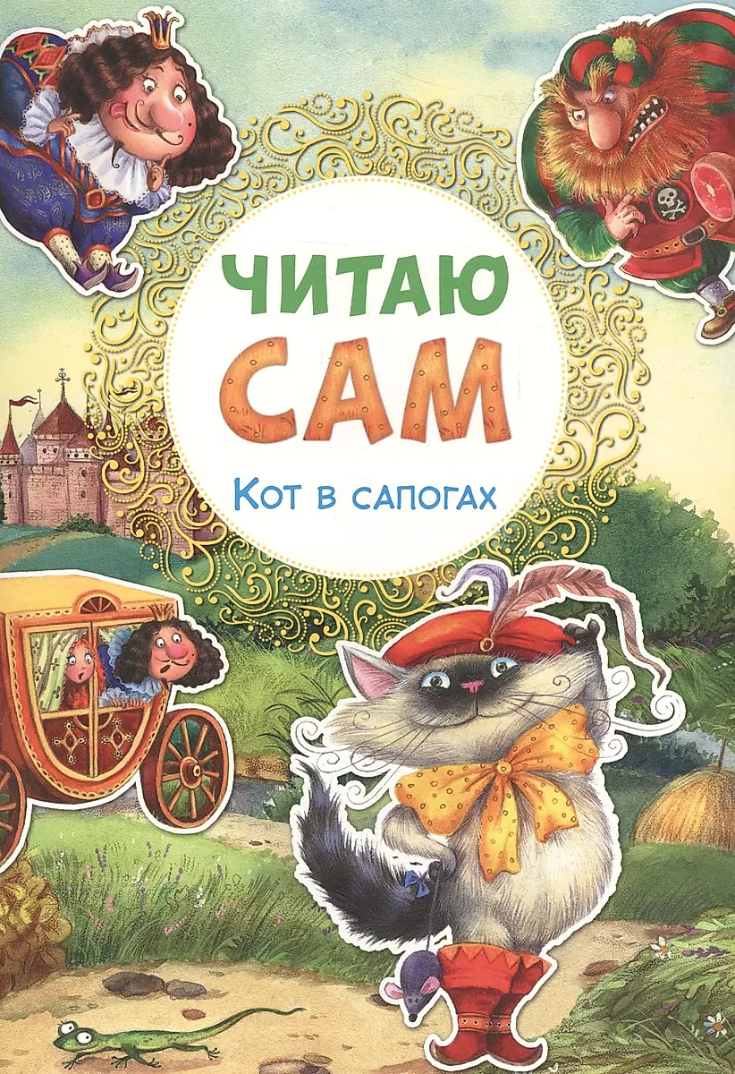 Kot w butach