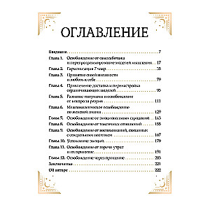 The Big Book of Cleansing 12 Energies: Cellular Memory, Meditation, Visualization