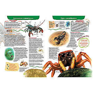 The World of Animals