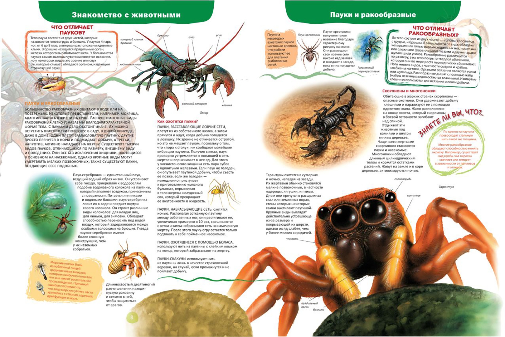 The World of Animals