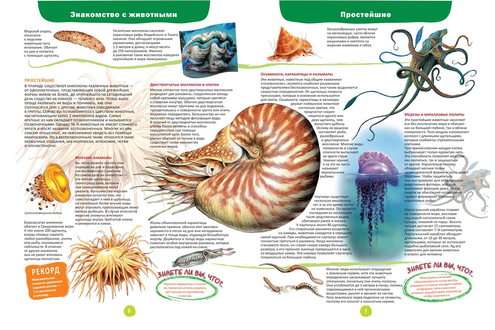 The World of Animals