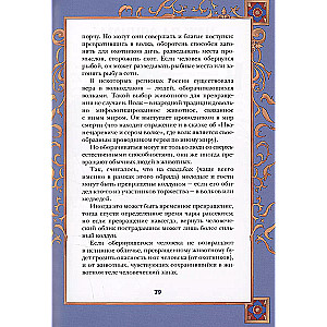 Rosyjskie bajki ludowe z męskimi archetypami. Iwan-Czarny, szary wilk, Kościej Nieśmiertelny i inni bohaterowie