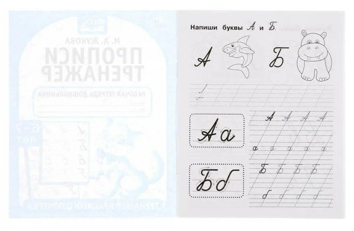 Script Training for Beautiful Handwriting