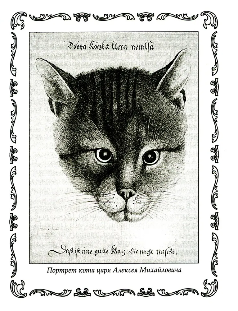 Cats. Mystical Stories, Legends and Beliefs. Healing Cats, Prophets and Magicians