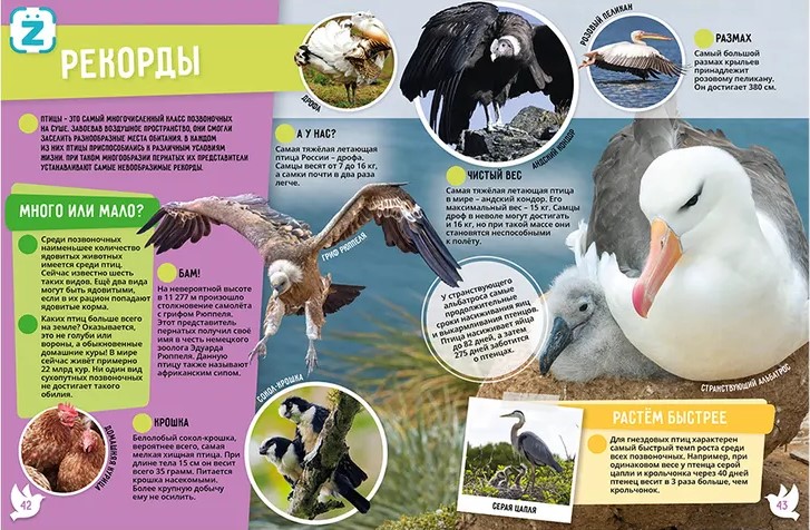 Birds. 250 Incredible Facts