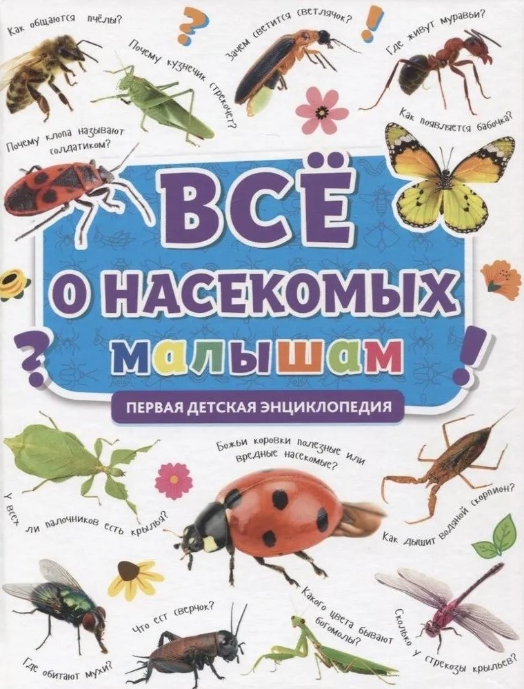 All About Insects for Kids