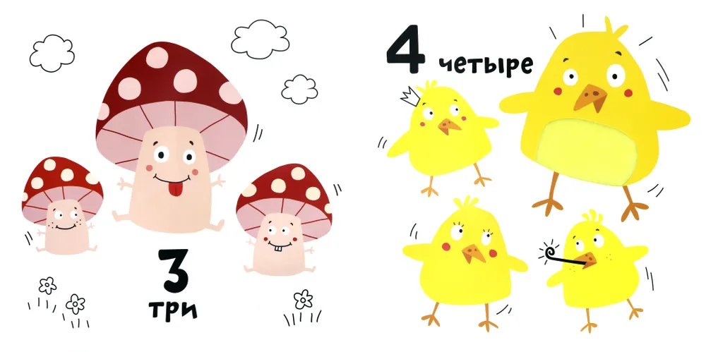 Numbers
