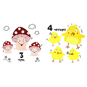 Numbers