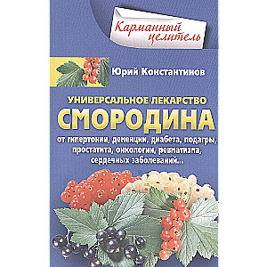 Currant - a unique medicine