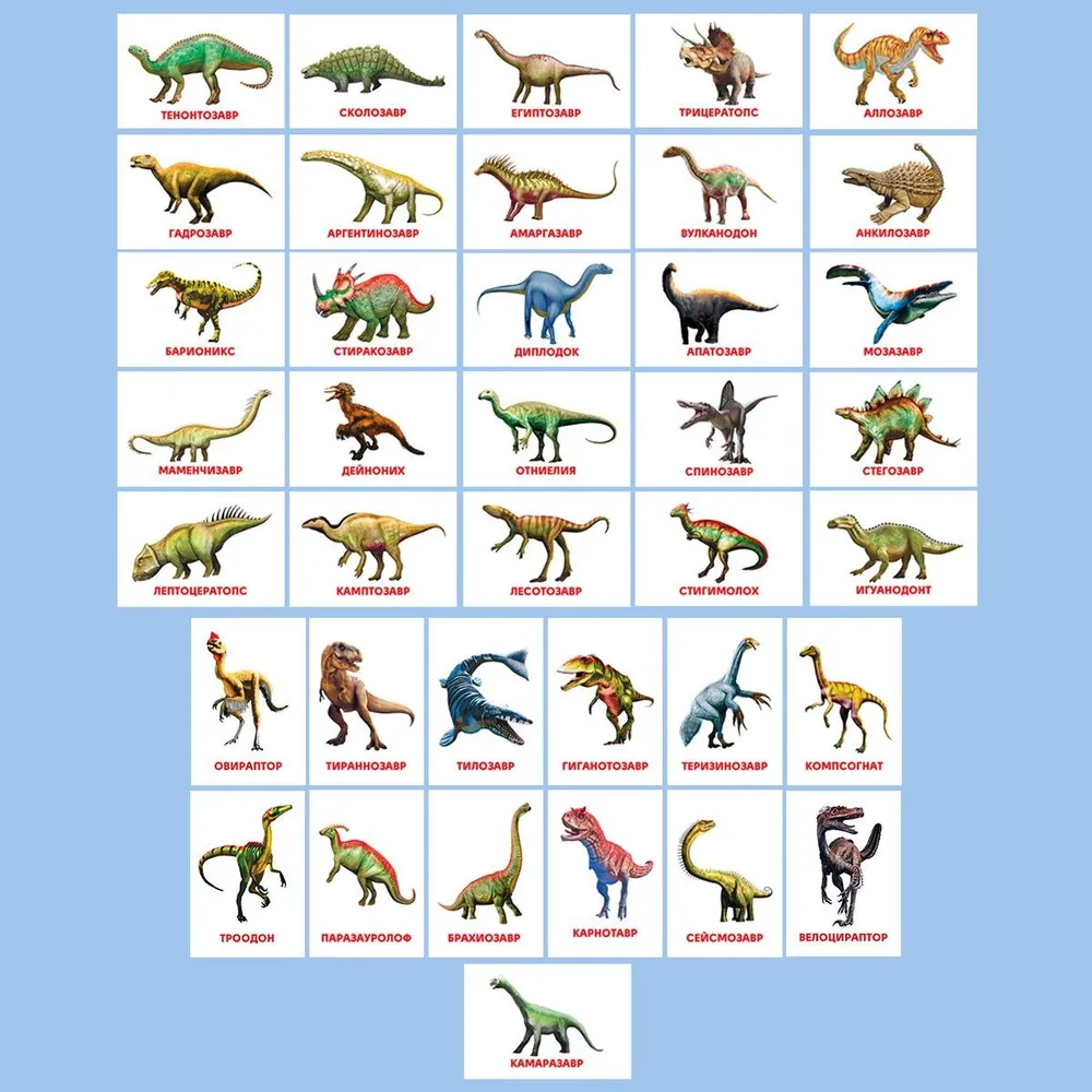 Educational Cards Dinosaurs