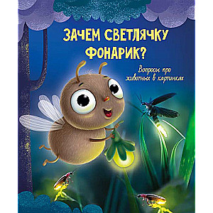 Why does a firefly need a flashlight?