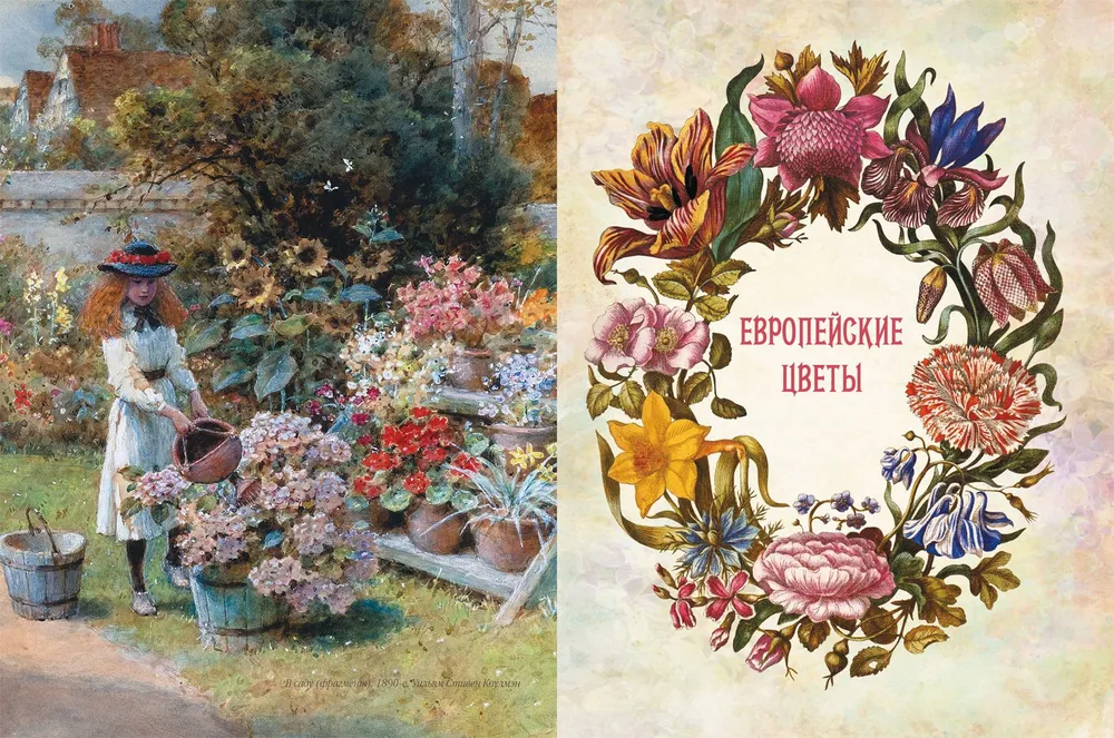 Favorite Flowers. An Illustrated Story
