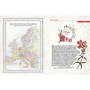 Favorite Flowers. An Illustrated Story