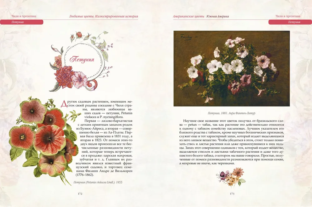 Favorite Flowers. An Illustrated Story