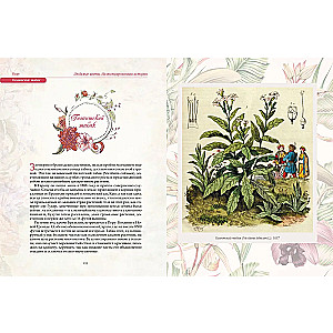 Favorite Flowers. An Illustrated Story