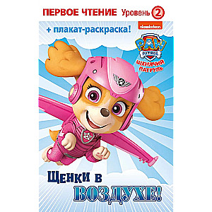 Paw Patrol. Puppies in the Air
