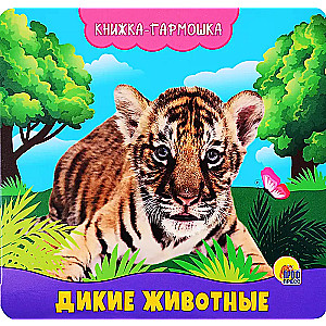 Wild Animals
