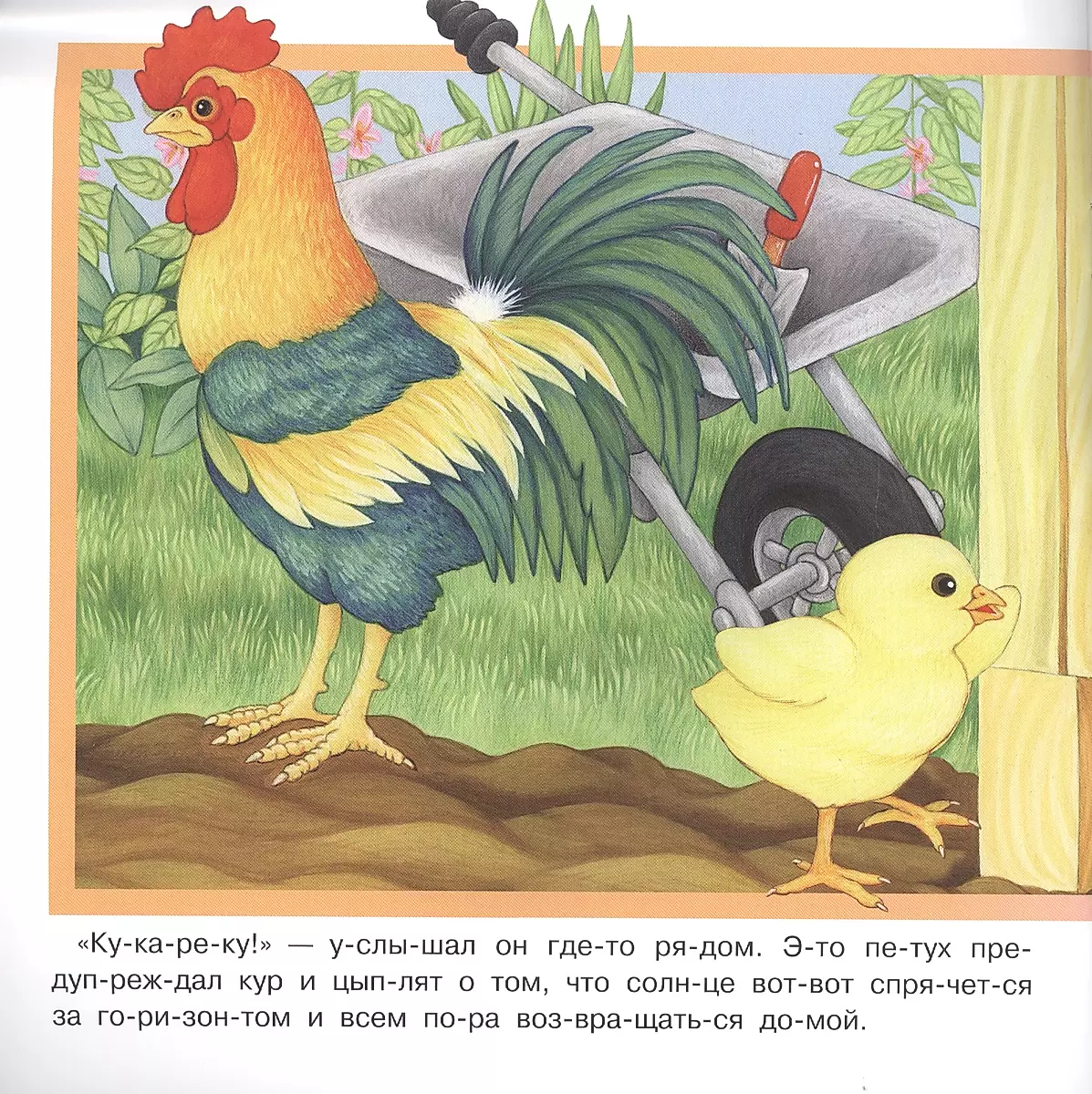 Curious Chick