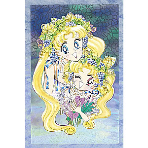 The Beautiful Warrior Sailor Moon. Volume 9