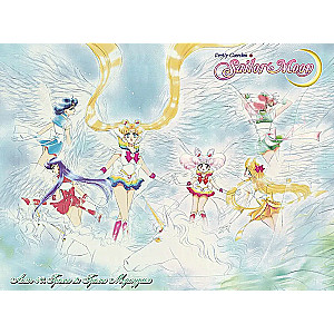 The Beautiful Warrior Sailor Moon. Volume 9