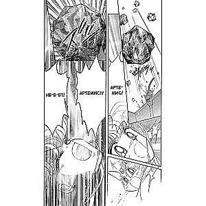 The Beautiful Warrior Sailor Moon. Volume 9