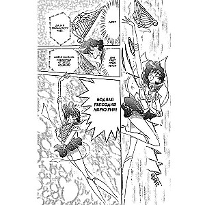 The Beautiful Warrior Sailor Moon. Volume 9
