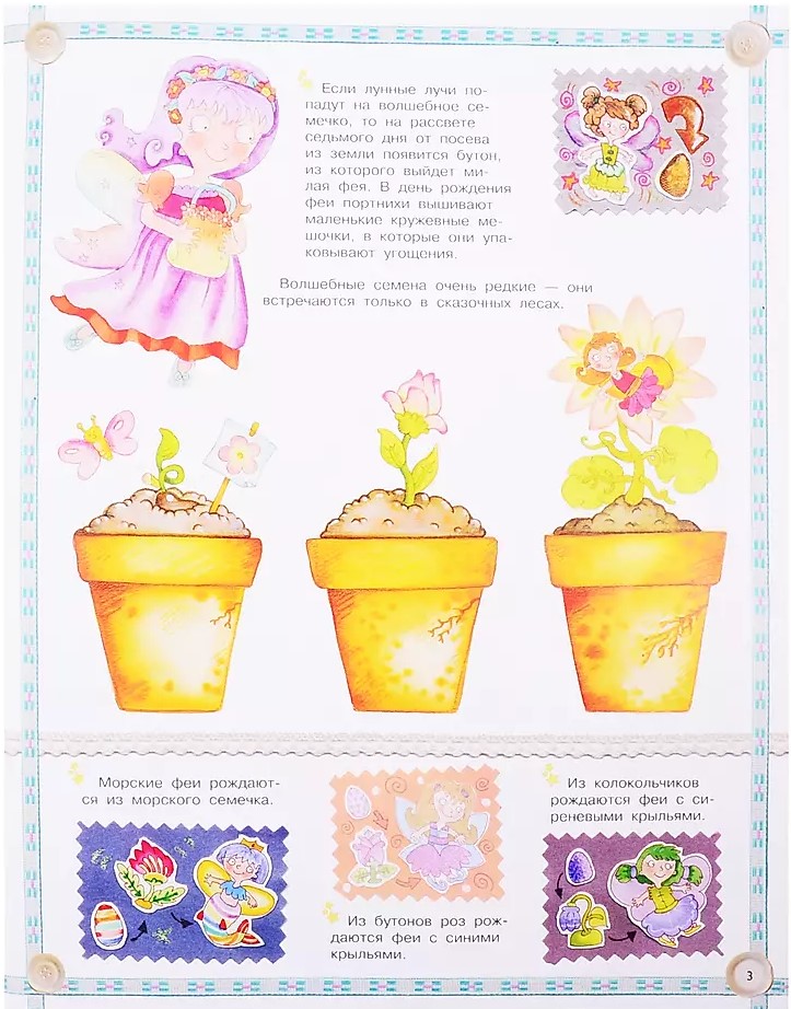 All About Fairies