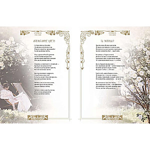 Silver Age. Best Poems About Love